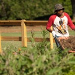 Gardens Engage Students and Help Communities