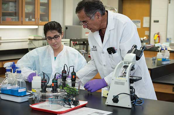 Jack Kent Cooke Scholar Rozhin Parvaresh works with her biology professor, Dr. Seyed Hosseini. (Photo by Bill Roa)